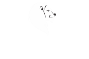 Danke Corretora de Planos de Saúde e Seguros